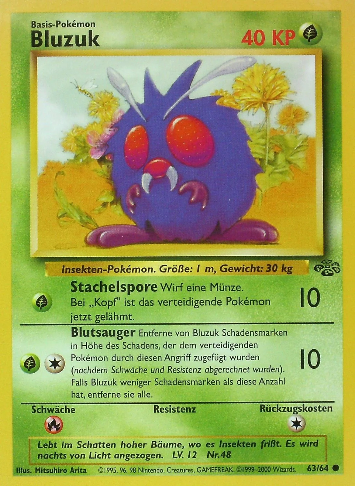 Bluzuk