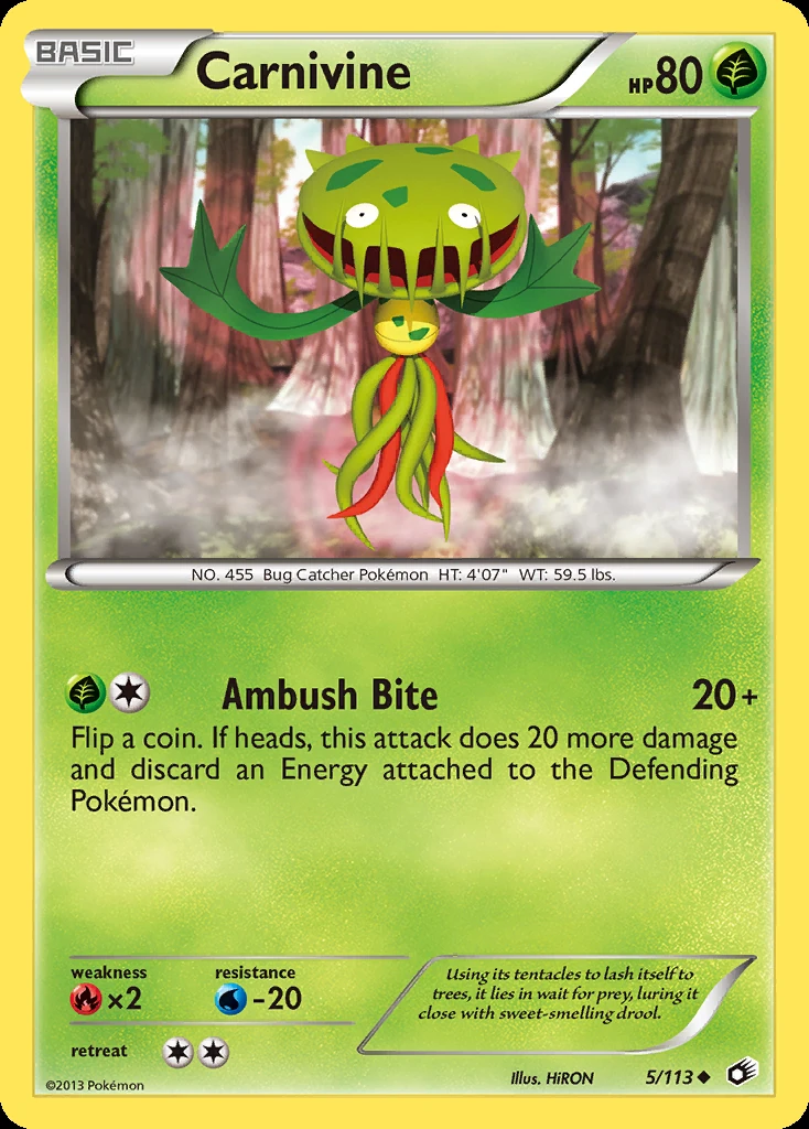 Venuflibis