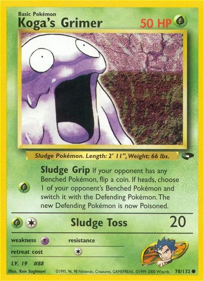 Kogas Sleima
