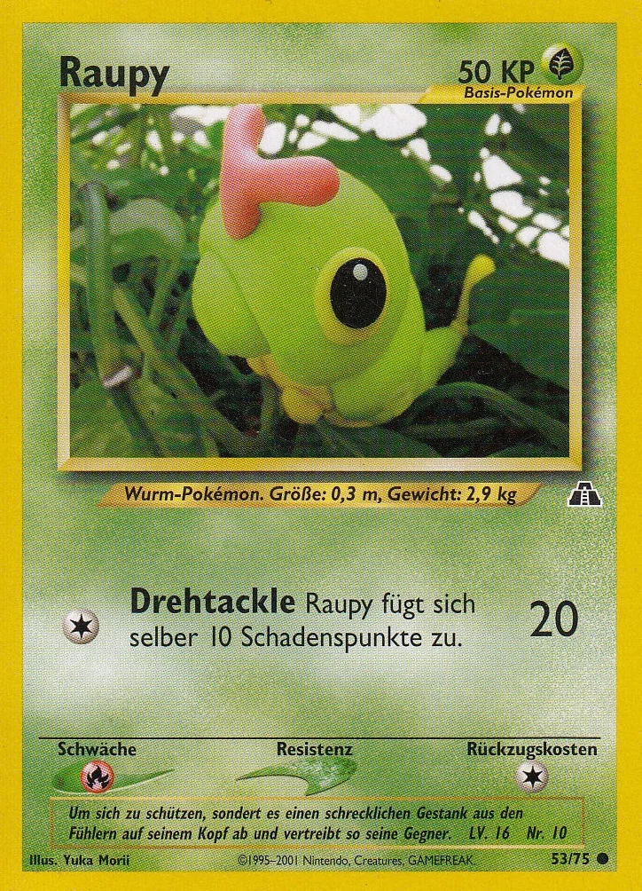 Raupy