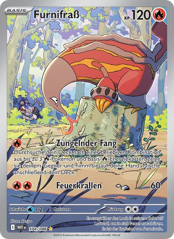 Furnifraß