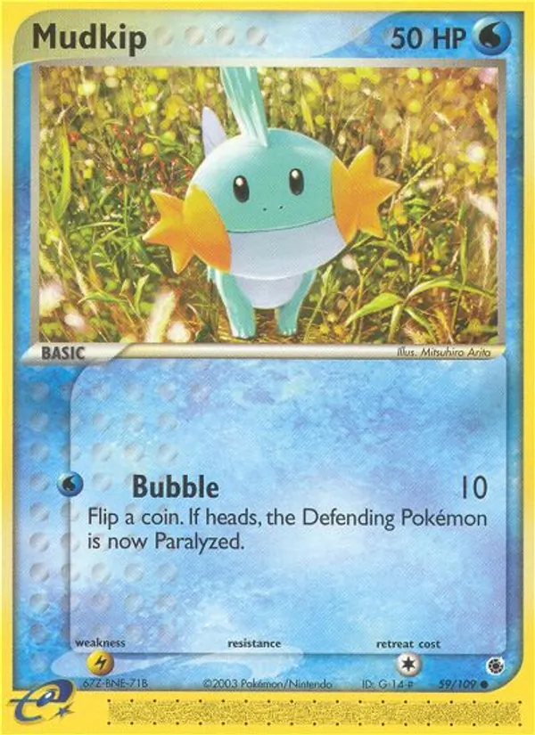Mudkip (Rocky Beach)