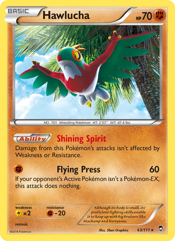 Hawlucha (The Flying Hammer)