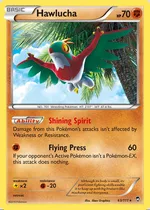 Hawlucha (The Flying Hammer)