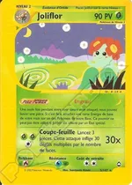 Joliflor