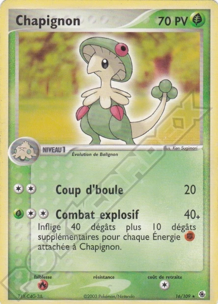Chapignon