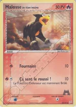 Malosse de Team Magma