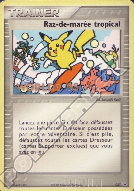 Raz-de-marée tropical