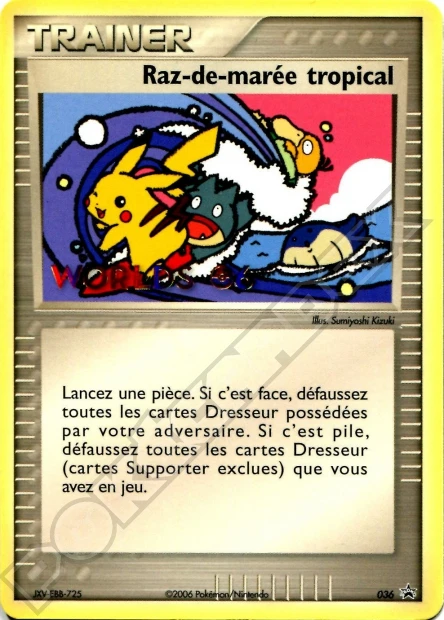 Raz-de-marée tropical