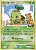 Tortipouss GL