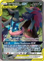 Amphinobi et Zoroark-GX