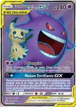 Ectoplasma et Mimiqui-GX