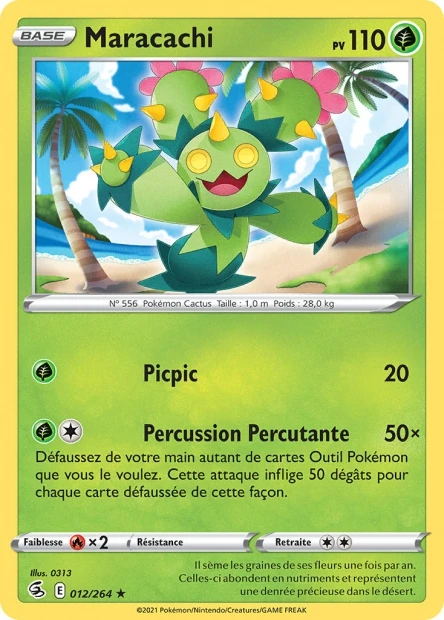 Maracachi