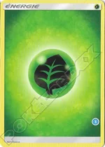 Énergie Plante