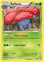 Rafflesia