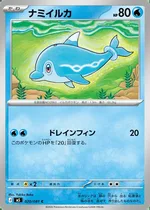 ナミイルカ