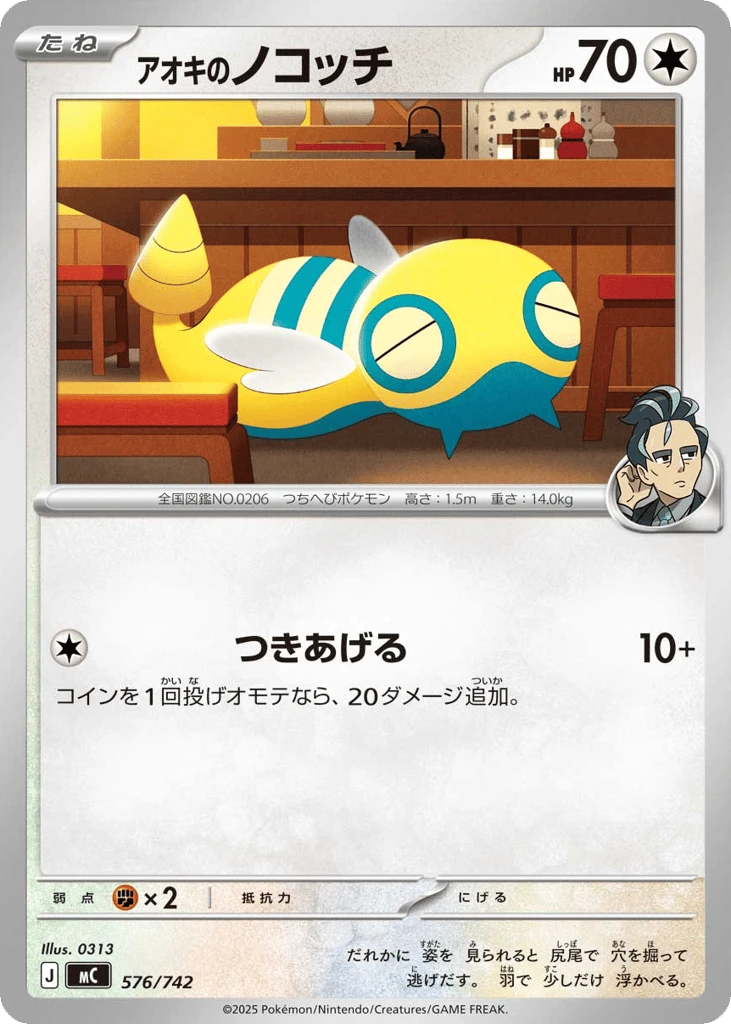 アオキのノコッチ