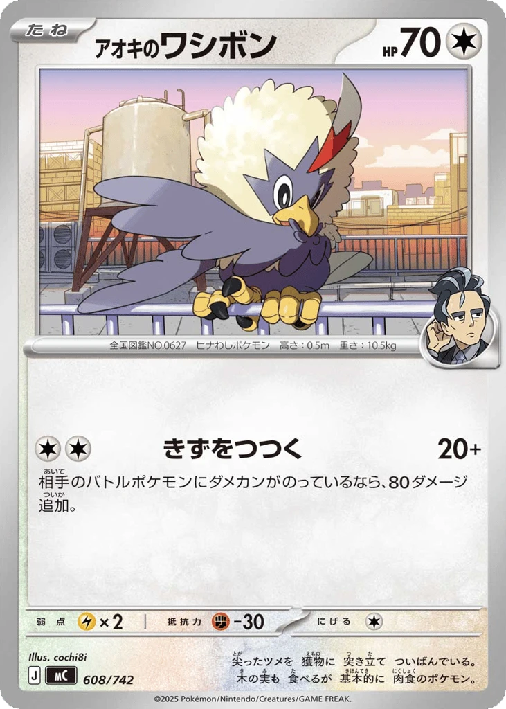 アオキのワシボン