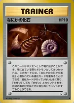 なにかの化石