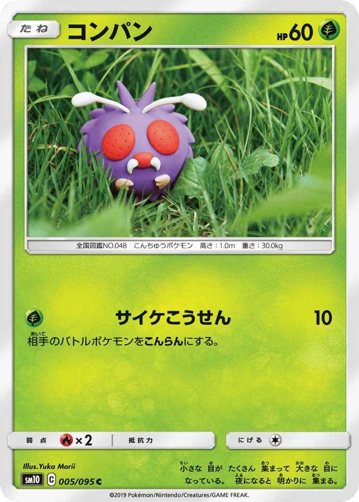 Bluzuk