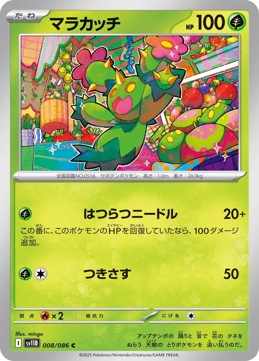 Maractus