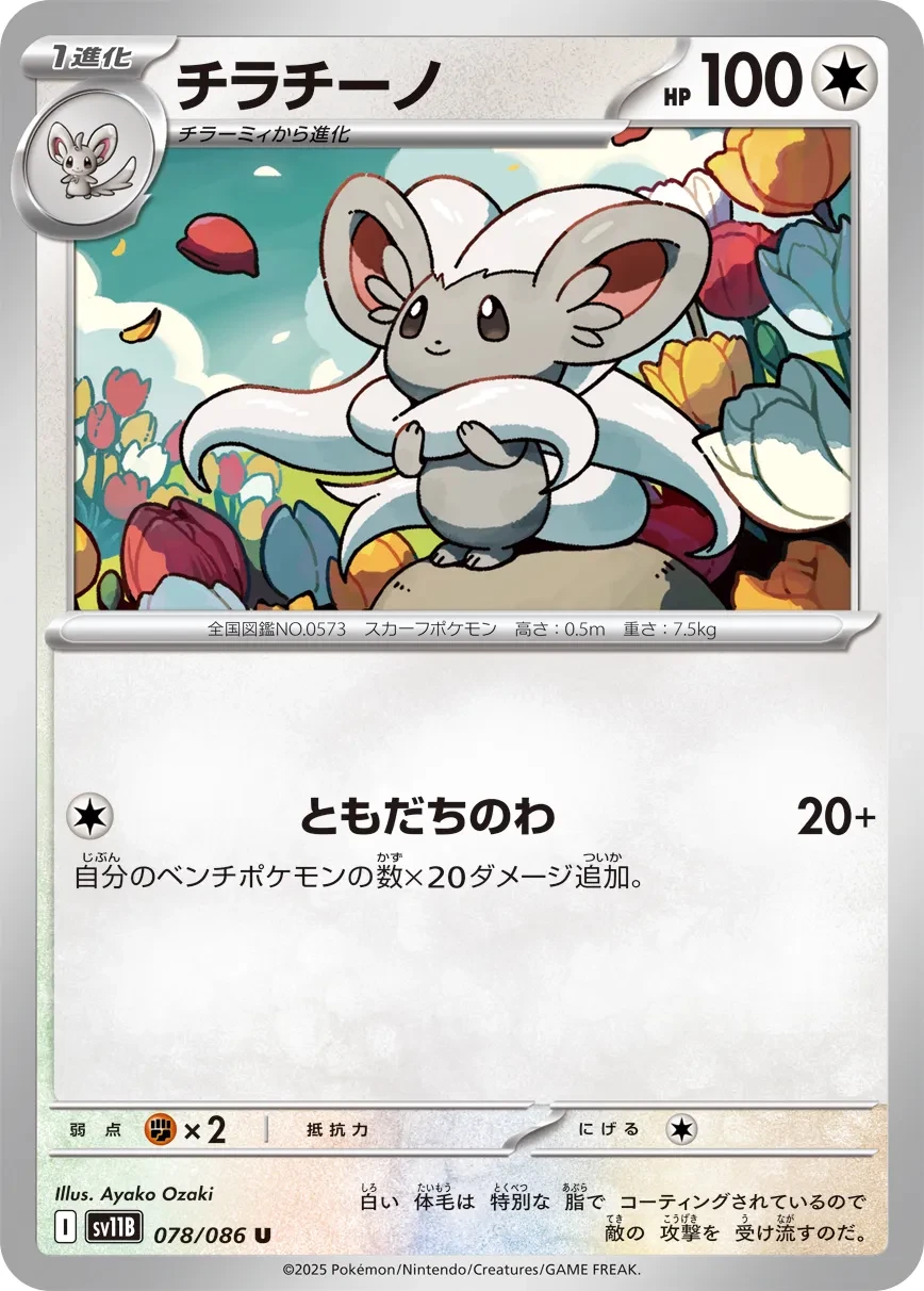 Cinccino