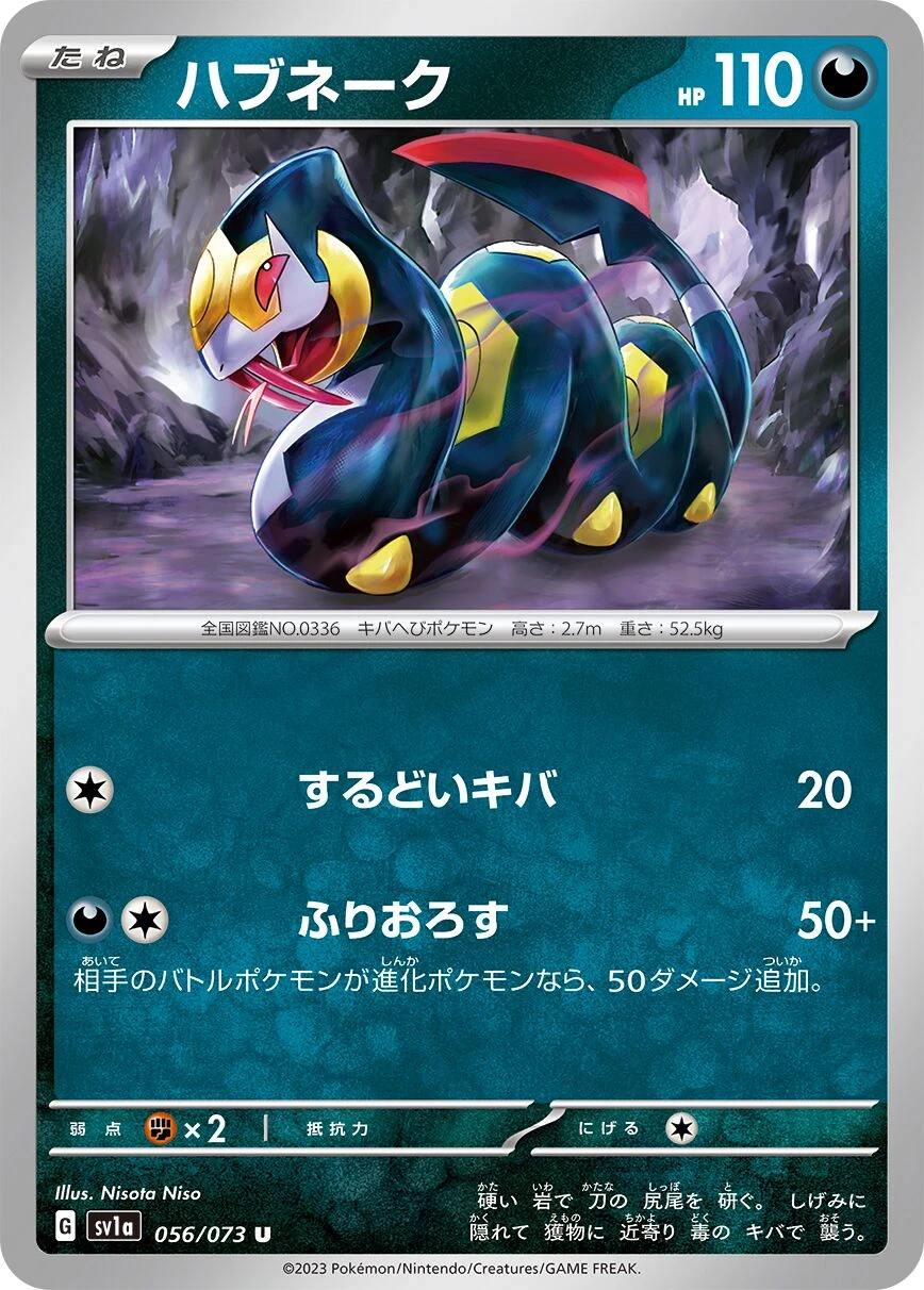 Vipitis