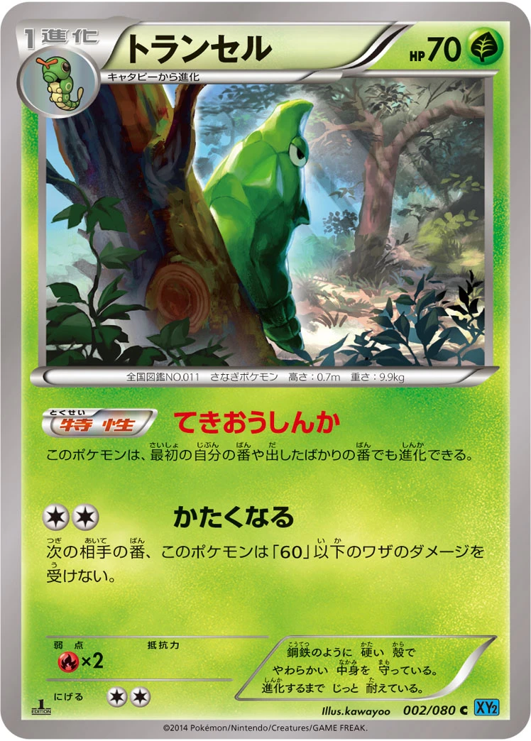 Metapod