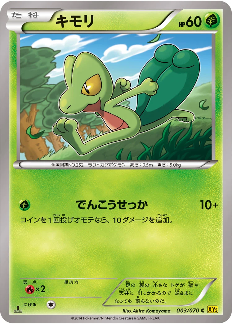 Geckarbor