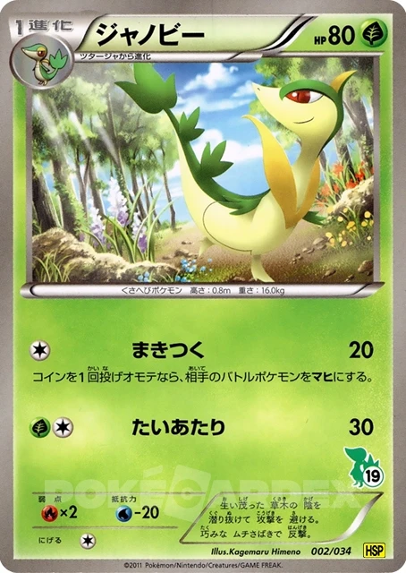 Woobat
