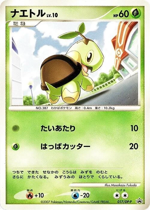 ナエトル