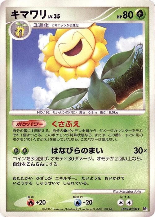 キマワリ