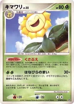 キマワリ