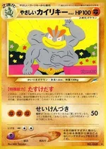 やさしいカイリキー