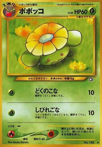 ポポッコ
