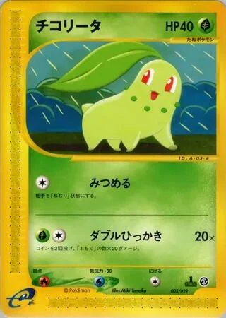 チコリータ