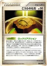 こうらの化石