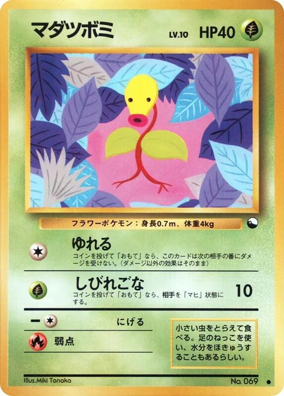マダツボミ