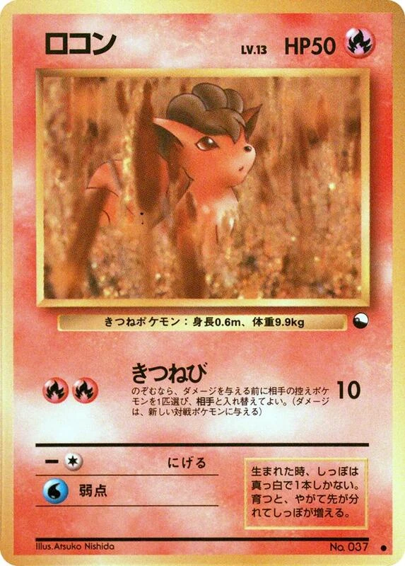 ロコン