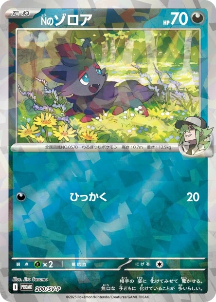 Ns Zorua