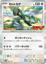 Motorizard