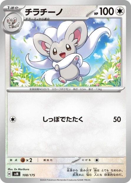 Cinccino