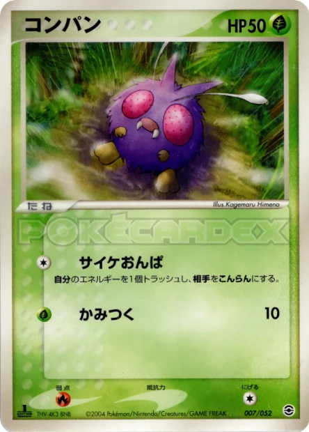 Bluzuk