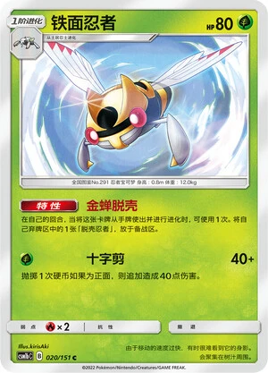 Ninjask