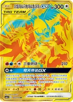 Lavados & Zapdos & Arktos-GX