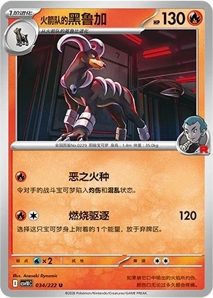 Team Rockets Hundemon