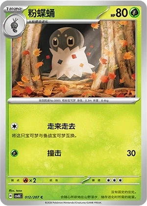 Puponcho